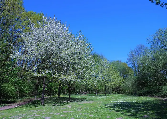 Panoramic Ginys Meerblick